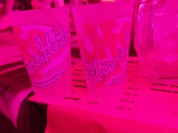 2024-07-27_private_Bilder_UFO_Revival_Party